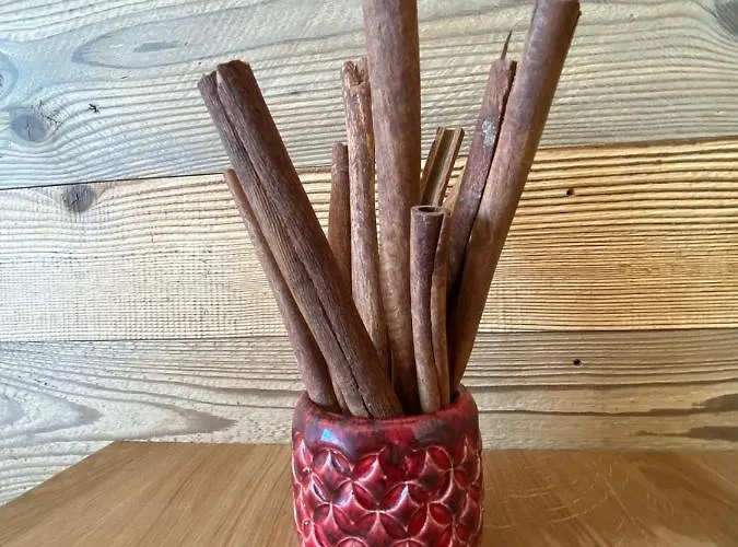 شقة فندقية Haus Ingrid 4*